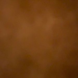 Meet your Posher, Kiya